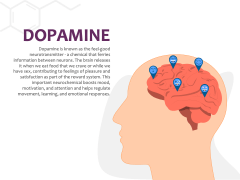 Dopamine PowerPoint and Google Slides Template - PPT Slides