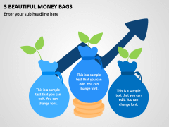 3 Beautiful Money Bags PPT Slide 1