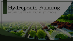 Hydroponic Farming Business Plan Animated Presentation - SketchBubble