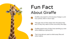 Giraffe Presentation Theme PPT Slide 12