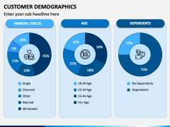 Customer Demographics PPT Slide 5
