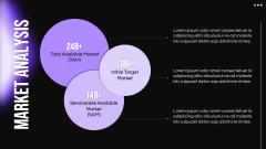 Business Strategy Plan PPT Slide 4