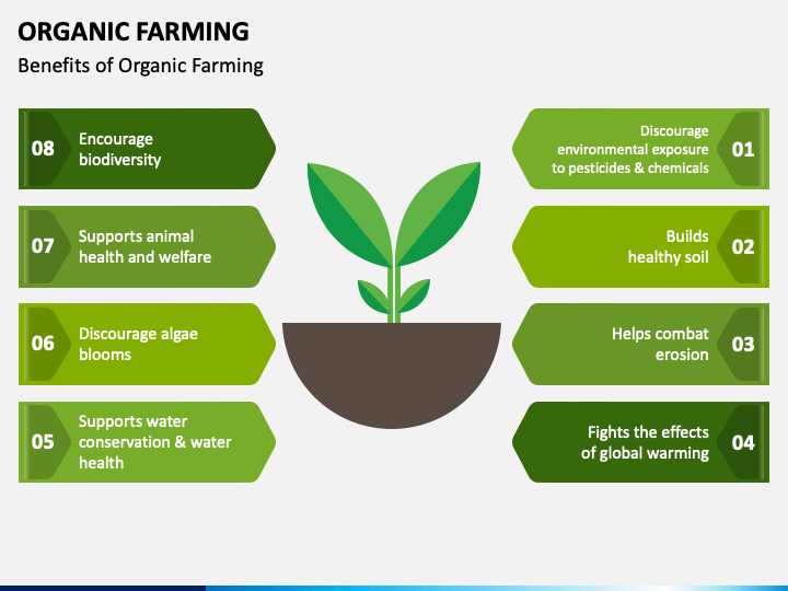 Organic Farming PowerPoint Template - PPT Slides