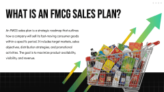 FMCG Sales Plan PPT Slide 3
