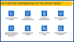Opioid Crisis PPT Slide 3