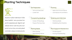 Gardening Workshop PPT Slide 6