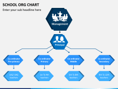 School ORG Chart for PowerPoint and Google Slides - PPT Slides