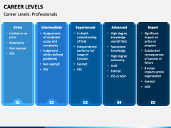 Career Levels Slide 5