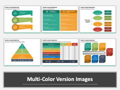 Supply Chain Principles Multicolor Combined