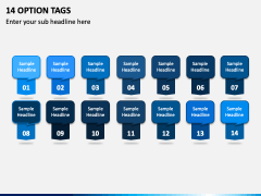 14 Option Tags PPT Slide 2