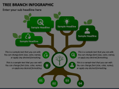 Tree Branch Infographic Animated Presentation - SketchBubble
