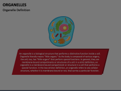 Organelles Animated Presentation - SketchBubble