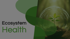 Ecosystem Health Animated Presentation - SketchBubble