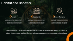 Tiger Presentation PPT Slide 6