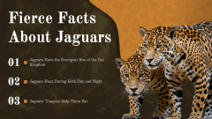 Jaguar Presentation Theme PPT Slide 11