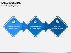Sales Budgeting PPT Slide 2