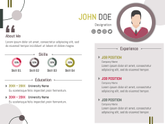 Executive Resume PPT Slide 3