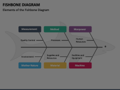 Animated Fishbone Diagram Animated Presentation - SketchBubble