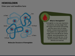 Hemoglobin Animated Presentation - SketchBubble