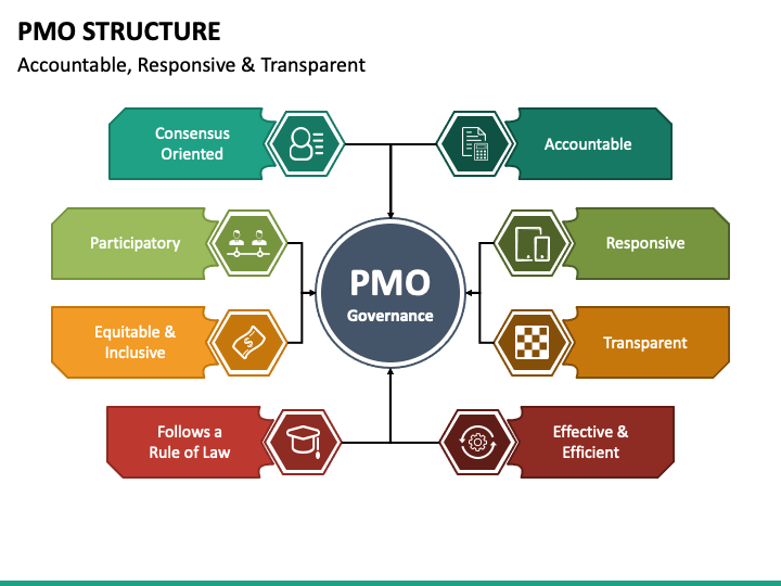 Pmo Organizational Structure Examples