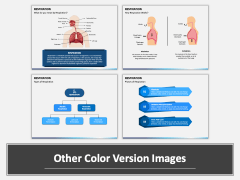 Respiration PowerPoint and Google Slides Template - PPT Slides